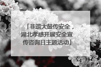 非遗大鼓传安全，湖北孝感开展安全宣传咨询日主题活动