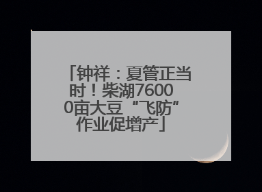 钟祥：夏管正当时！柴湖76000亩大豆“飞防”作业促增产