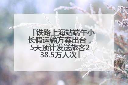 铁路上海站端午小长假运输方案出台，5天预计发送旅客238.5万人次