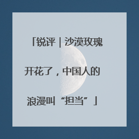 锐评｜沙漠玫瑰开花了，中国人的浪漫叫“担当”