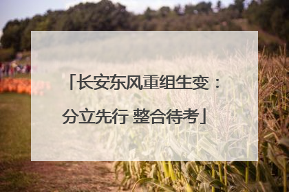 长安东风重组生变：分立先行 整合待考