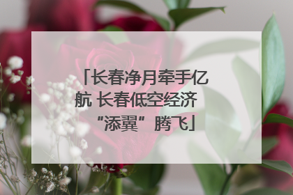 长春净月牵手亿航 长春低空经济“添翼”腾飞