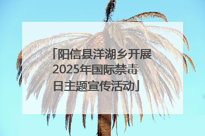 阳信县洋湖乡开展2025年国际禁毒日主题宣传活动