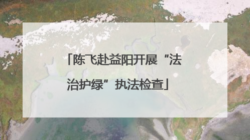 陈飞赴益阳开展“法治护绿”执法检查