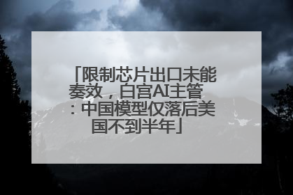 限制芯片出口未能奏效，白宫AI主管：中国模型仅落后美国不到半年