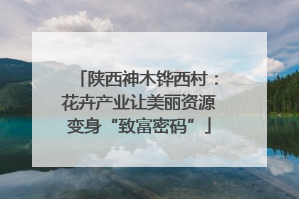 陕西神木铧西村：花卉产业让美丽资源变身“致富密码”