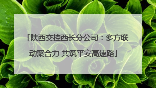 陕西交控西长分公司：多方联动聚合力 共筑平安高速路