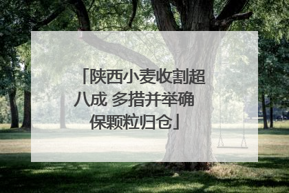 陕西小麦收割超八成 多措并举确保颗粒归仓