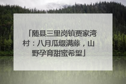 随县三里岗镇贾家湾村：八月瓜缀满藤，山野孕育甜蜜希望