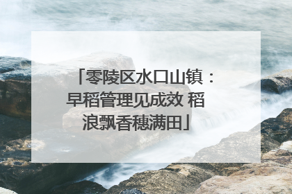零陵区水口山镇：早稻管理见成效 稻浪飘香穗满田