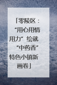零陵区：“用心用情用力”绘就“中药香”特色小镇新画卷
