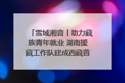 雪域湘音丨助力藏族青年就业 湖南援藏工作队建成西藏首个清洁能源装备园