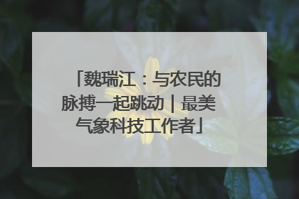 魏瑞江：与农民的脉搏一起跳动｜最美气象科技工作者