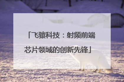 飞骧科技：射频前端芯片领域的创新先锋