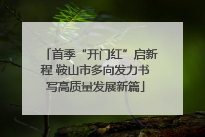 首季“开门红”启新程 鞍山市多向发力书写高质量发展新篇