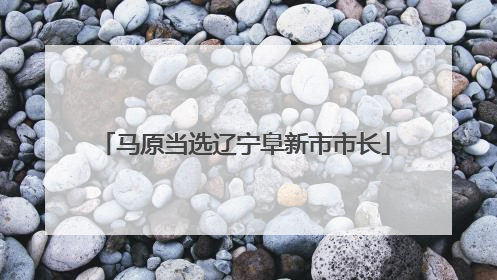 马原当选辽宁阜新市市长