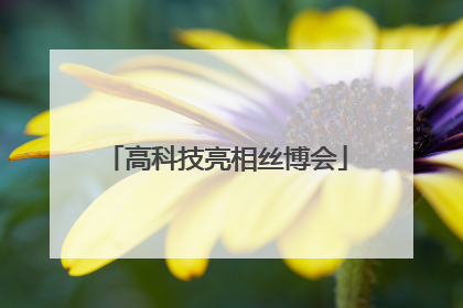 高科技亮相丝博会