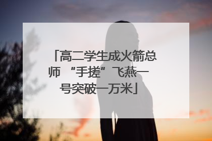 高二学生成火箭总师 “手搓”飞燕一号突破一万米