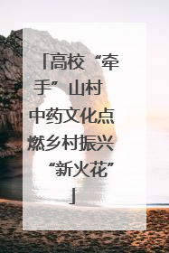 高校“牵手”山村 中药文化点燃乡村振兴“新火花”
