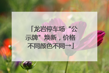 龙岩停车场“公示牌”焕新，价格不同颜色不同→