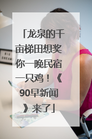 龙泉的千亩梯田想奖你一晚民宿一只鸡！《90早新闻》来了