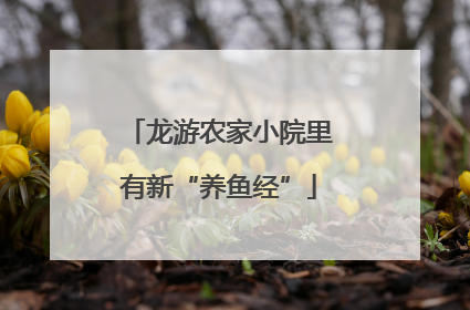 龙游农家小院里有新“养鱼经”