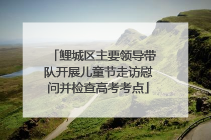 鲤城区主要领导带队开展儿童节走访慰问并检查高考考点
