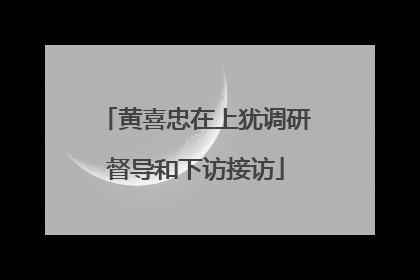 黄喜忠在上犹调研督导和下访接访