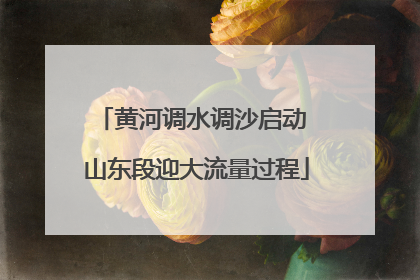 黄河调水调沙启动 山东段迎大流量过程