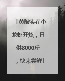 黄陂头茬小龙虾开炫，日供8000斤，快来尝鲜
