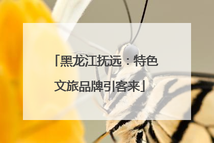 黑龙江抚远：特色文旅品牌引客来