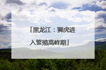 黑龙江：狮虎进入繁殖高峰期