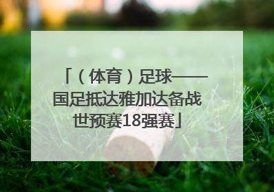 （体育）足球——国足抵达雅加达备战世预赛18强赛