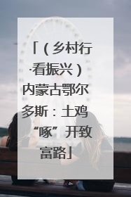 （乡村行·看振兴）内蒙古鄂尔多斯：土鸡“啄”开致富路