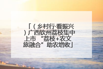（乡村行·看振兴）广西钦州荔枝集中上市 “荔枝+农文旅融合”助农增收