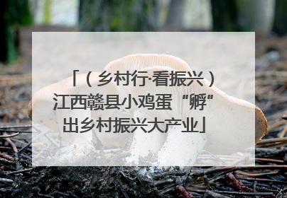 （乡村行·看振兴）江西赣县小鸡蛋“孵”出乡村振兴大产业