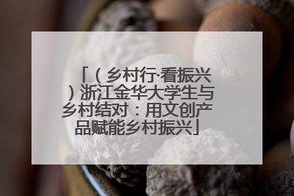 （乡村行·看振兴）浙江金华大学生与乡村结对：用文创产品赋能乡村振兴