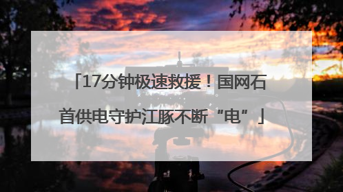 17分钟极速救援！国网石首供电守护江豚不断“电”
