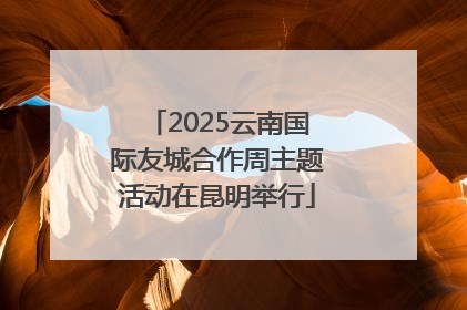 2025云南国际友城合作周主题活动在昆明举行
