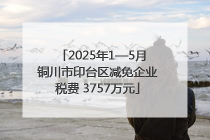 2025年1—5月铜川市印台区减免企业税费 3757万元