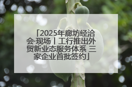 2025年廊坊经洽会·现场丨工行推出外贸新业态服务体系 三家企业首批签约