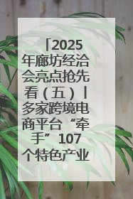 2025年廊坊经洽会亮点抢先看（五）丨多家跨境电商平台“牵手”107个特色产业集群
