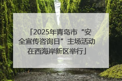 2025年青岛市“安全宣传咨询日”主场活动在西海岸新区举行