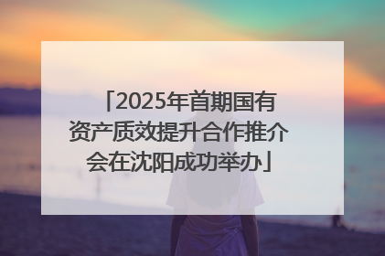 2025年首期国有资产质效提升合作推介会在沈阳成功举办