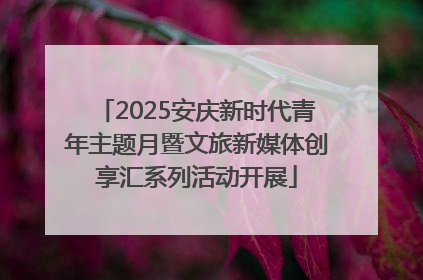 2025安庆新时代青年主题月暨文旅新媒体创享汇系列活动开展