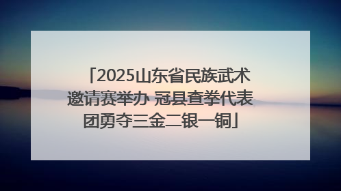 2025山东省民族武术邀请赛举办 冠县查拳代表团勇夺三金二银一铜