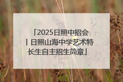 2025日照中招会丨日照山海中学艺术特长生自主招生简章