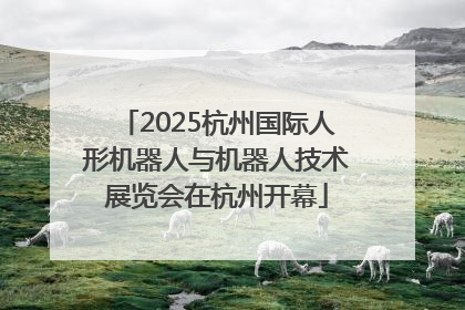 2025杭州国际人形机器人与机器人技术展览会在杭州开幕