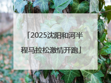 2025沈阳和河半程马拉松激情开跑