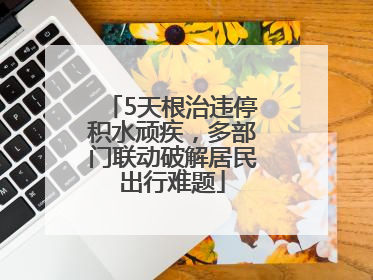 5天根治违停积水顽疾，多部门联动破解居民出行难题